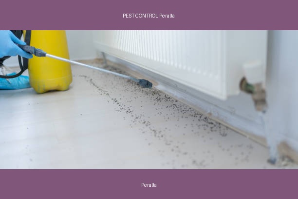 PEST CONTROL Peralta
